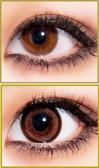 GEO Honey Wing