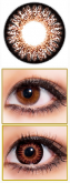 GEO Bambi Series/Princess Mimi Chocolate Brown